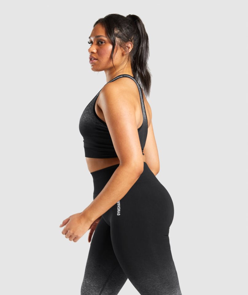 Women's Gymshark Adapt Ombre Seamless Sports Bra Black | CA 83N7AD